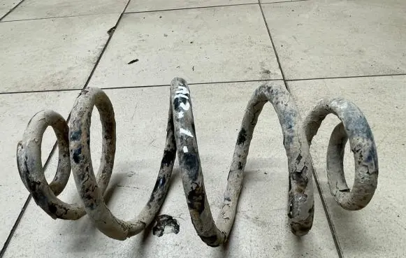 Volkswagen PASSAT B5 Rear coil spring
