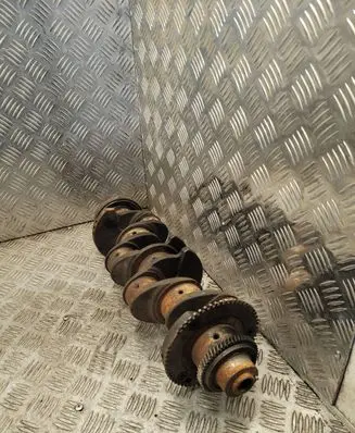 Fiat Ducato Crankshaft 502295016