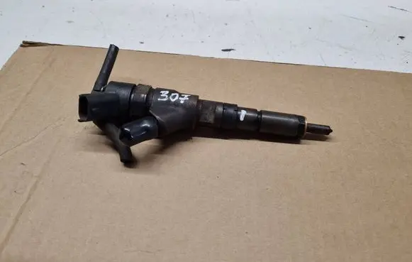 Peugeot 307 Fuel injector 9641742880 0445110076