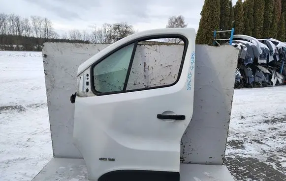 Renault Trafic III (X82) Front door 