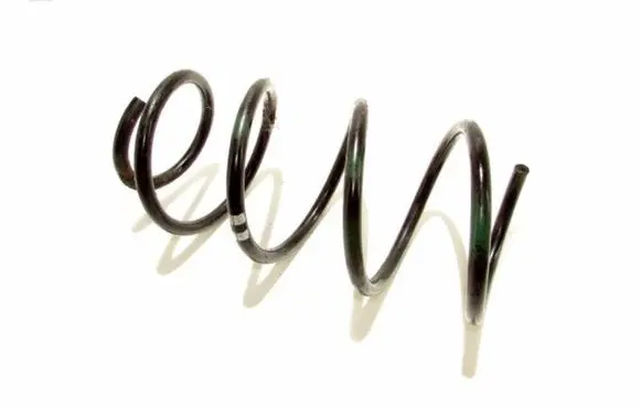 Front coil spring
