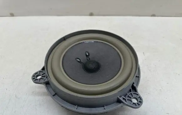 Renault Scenic IV - Grand scenic IV Rear door speaker 281445901R