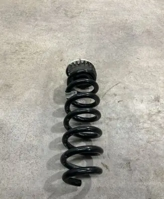 BMW 4 G22 G23 G24 G26 Rear coil spring