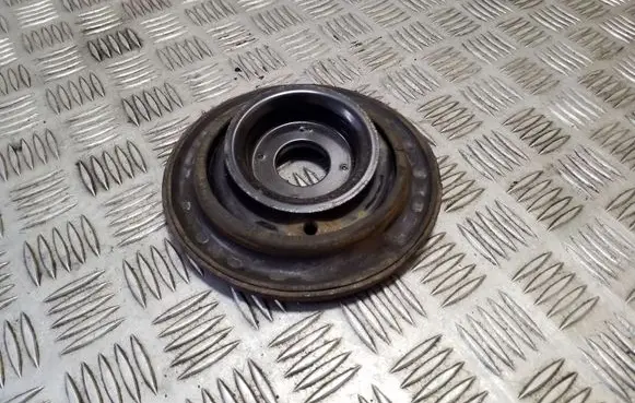 Coil spring mount