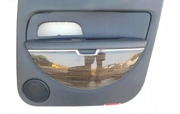 Citroen C6 Rear door card panel trim