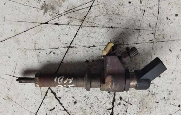 Peugeot 407 Fuel injector 9636819380