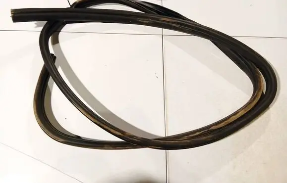 Ford Focus C-MAX Rubber seal front coupe door 