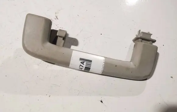 Ford Focus Front interior roof grab handle