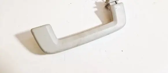 Front interior roof grab handle