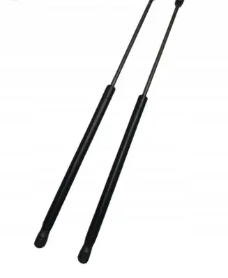 Tailgate/trunk strut/damper