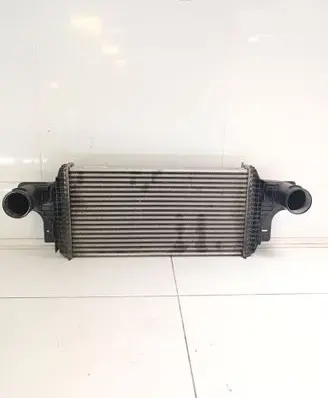 Mercedes-Benz GL X164 Intercooler radiator A1645000200