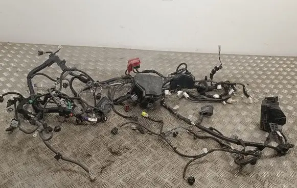 Toyota Auris E180 Engine installation wiring loom 821210DQ00 DQ00190427072116