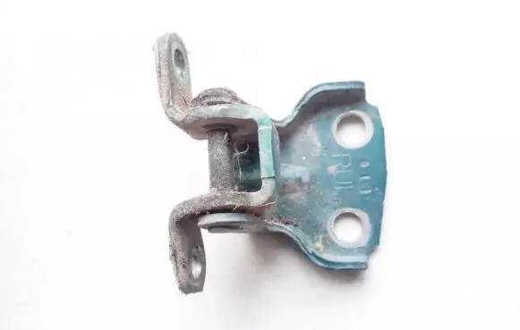 Rear door lower hinge