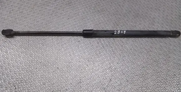Tailgate/trunk strut/damper