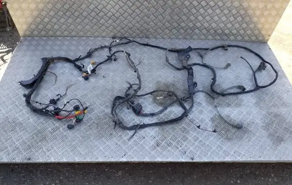 Cupra Born Engine installation wiring loom TAB016490CC