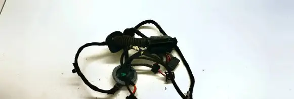 Front door wiring loom