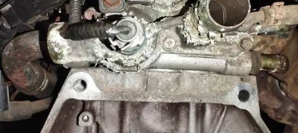 Honda Jazz Engine coolant pipe/hose 