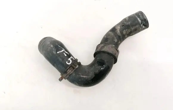 Volkswagen Transporter - Caravelle T5 Engine coolant pipe/hose 7d0122157g