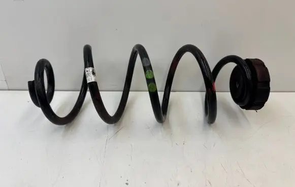 Rear coil spring