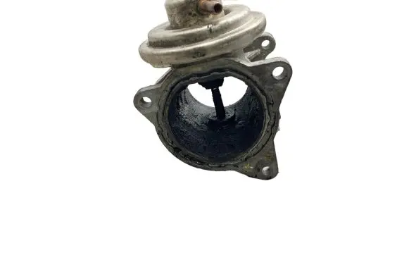 Chrysler Sebring (JS) EGR valve 038131501AN 0701029