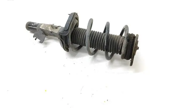 Front shock absorber with coil spring