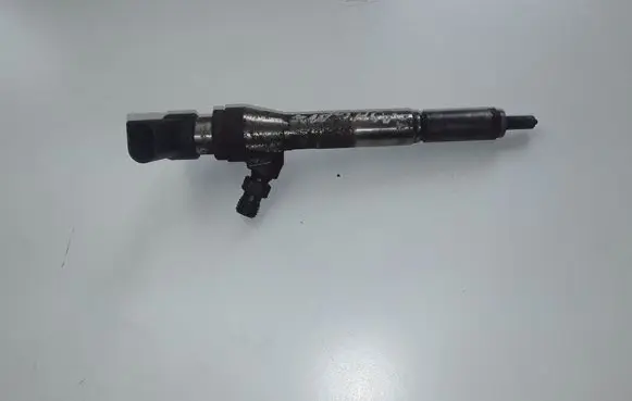 Nissan Qashqai+2 Fuel injector 166009445R