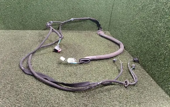 Rear door wiring loom