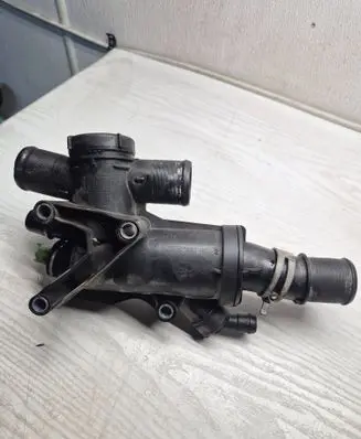 Thermostat/thermostat housing