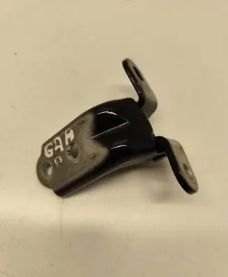 Rear door lower hinge