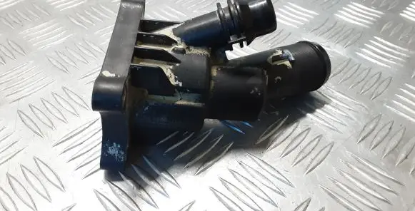 Thermostat/thermostat housing