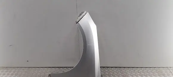 Ford Focus Fender