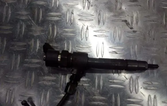 Fiat Punto (188) Fuel injector 0445110019