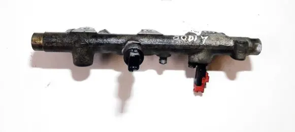 Citroen Xsara Fuel main line pipe 0445214010