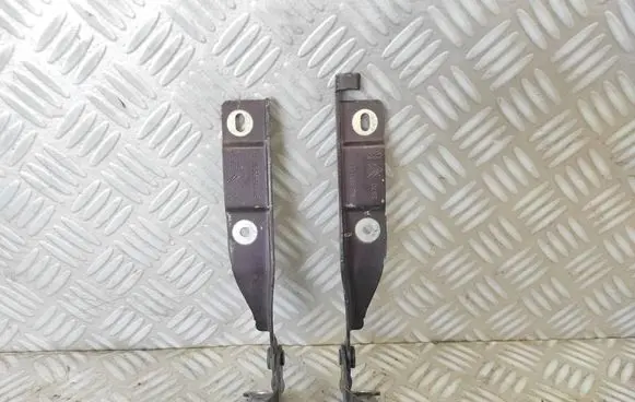 Engine bonnet/hood hinges