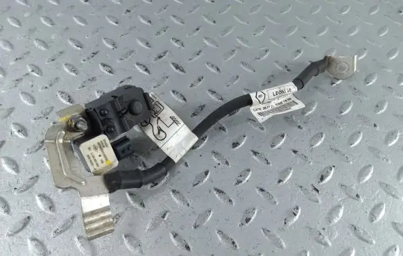 Dacia Sandero III Negative earth cable (battery) 240805989R A4209051300 250820499R