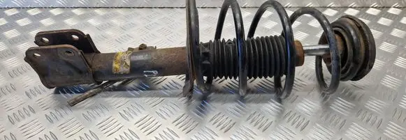 Peugeot 307 Front shock absorber with coil spring G7265