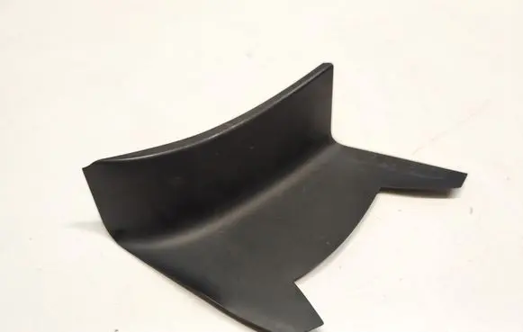 Rear/tail light trim molding