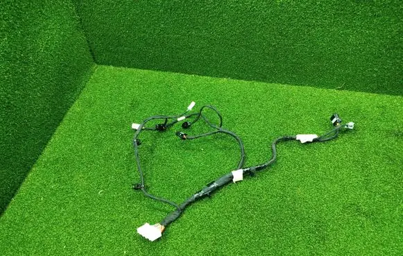 Other wiring loom