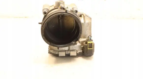 Throttle body valve