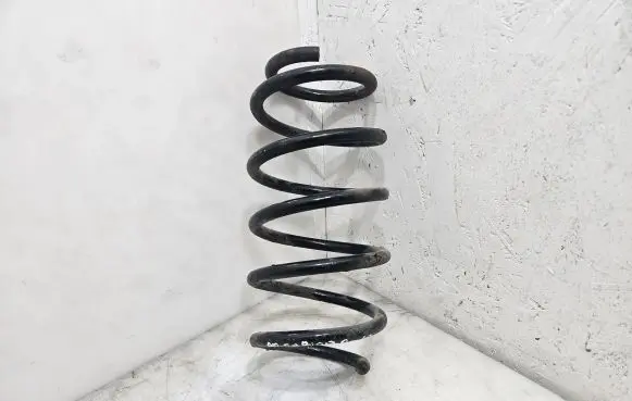 Front coil spring