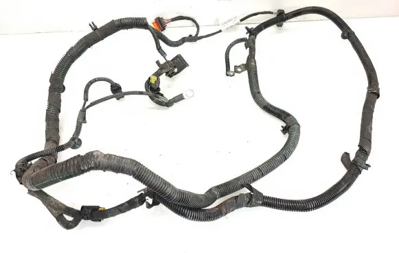 Engine installation wiring loom