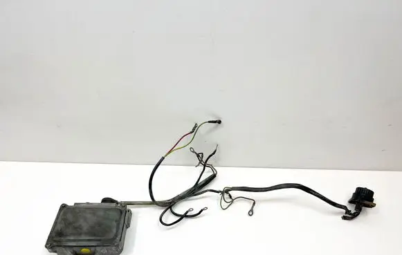 Mercedes-Benz SLC C107 Combustion control unit/module A0227100001 0227100001