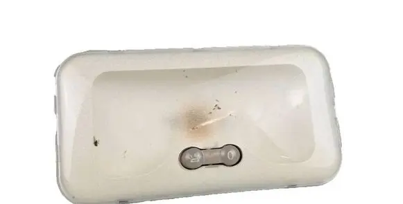 Renault Trafic III (X82) Rear seat light 264306877R