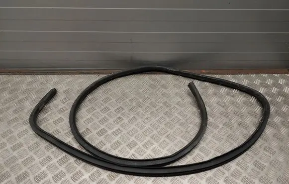 Dodge RAM Rubber seal rear door 