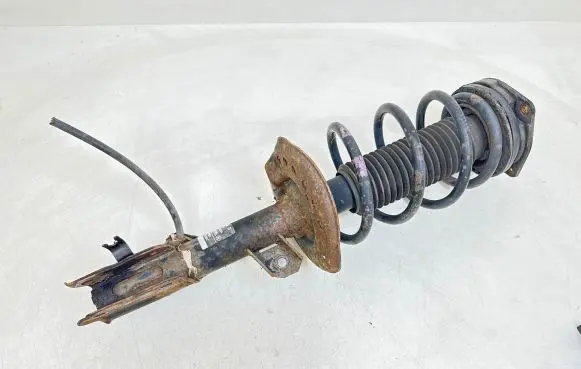Nissan Qashqai Front shock absorber/damper 54303JD01A 824903002934