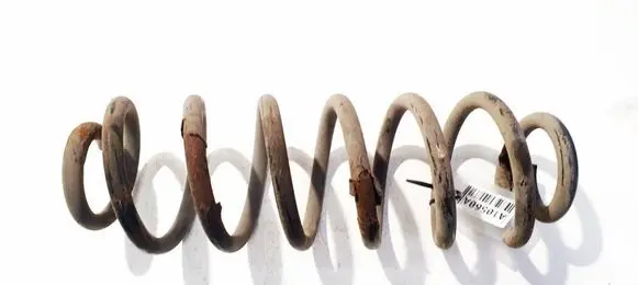 Volkswagen PASSAT B7 Rear coil spring 