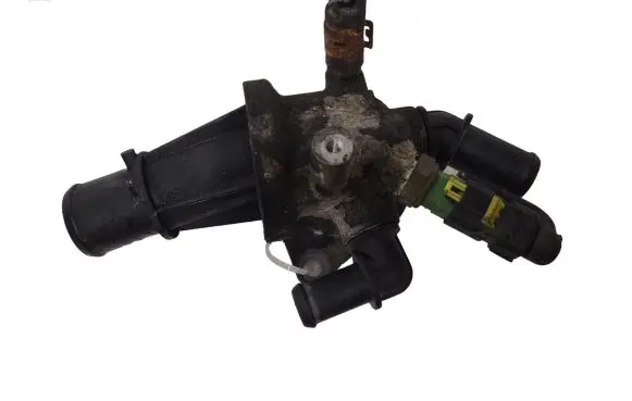 Thermostat/thermostat housing