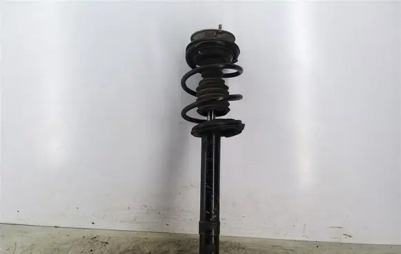 BMW 5 E39 Front shock absorber with coil spring
