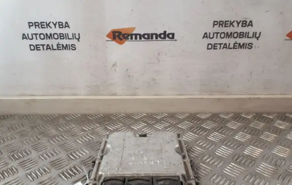 Engine control unit/module ECU