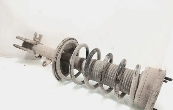 Hyundai Elantra Rear shock absorber with coil spring 